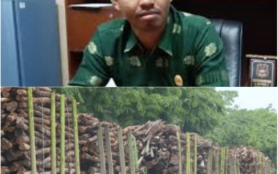 Kritik Terhadap Praktik Bisnis Berkelanjutan PT. Riau Pulp and Paper