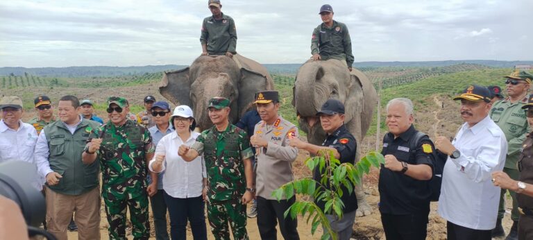 Satgas PKH Tegaskan Segala Bentuk Aktivitas Didalam Hutan Kawasan Dinyatakan Melanggar Hukum