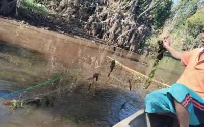 Dampak Pencemaran Sungai oleh Limbah Perusahaan: Suara Masyarakat Kuala Terusan