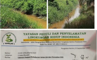 YPPLHI Laporkan Dugaan Perkebunan Ilegal dan Kerusakan Ekosistem DAS di Pangkalan Kerinci
