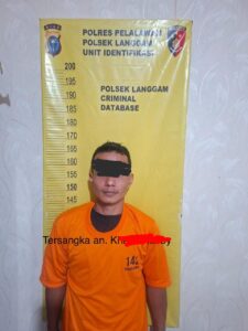 Penangkapan Dua Tersangka Pencurian Buah Kelapa Sawit di Langgam: Bukti Komitmen Polres Pelalawan