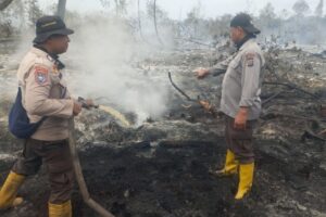 Karhutla di Teluk Makmur Dumai Berhasil Dikendalikan, Petugas Lakukan Pendinginan