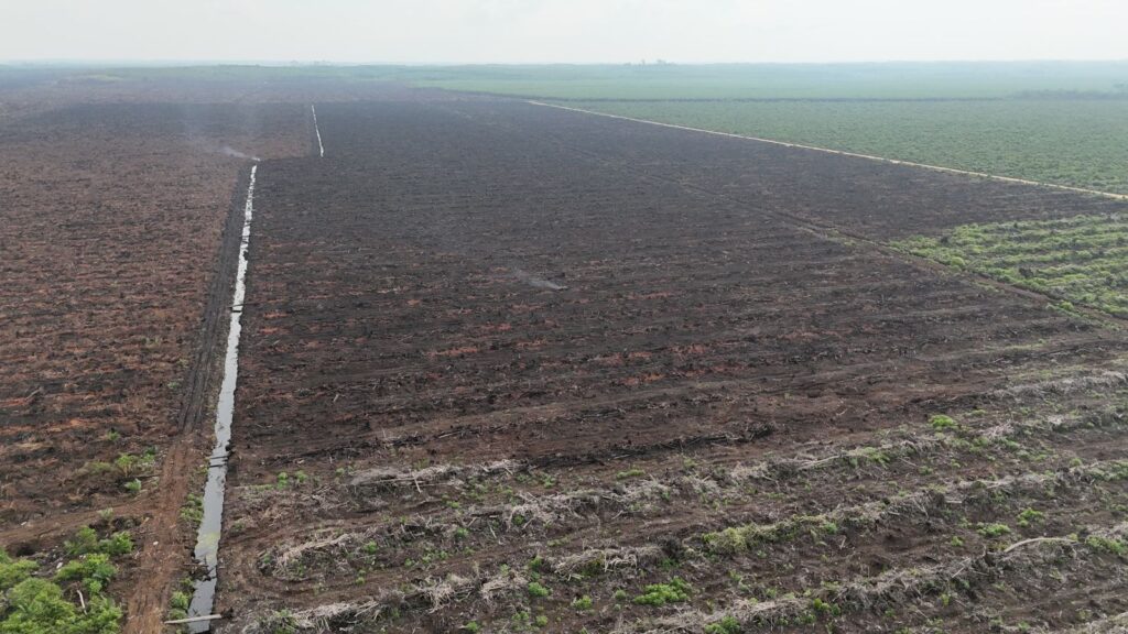 Kebakaran Lahan Sawit di Merbau Berhasil Dipadamkan
