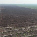 Kebakaran Lahan Sawit di Merbau Berhasil Dipadamkan