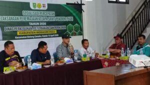 Kebun Sawit Menua hingga 30 Tahun, Pekebun di 18 KUD Inhu Terhambat Biaya Peremajaan