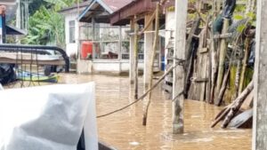 BPBD dan Dinsos Kampar Siapkan Siaga Darurat, Luapan Sungai Subayang Rendam 7 Desa di Kampar Kiri Hulu