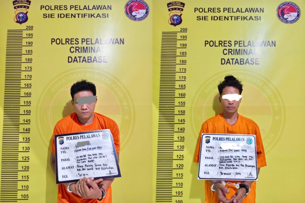 Pelaku Narkoba di Pelalawan Ditangkap, Polisi Amankan 19 Paket Sabu