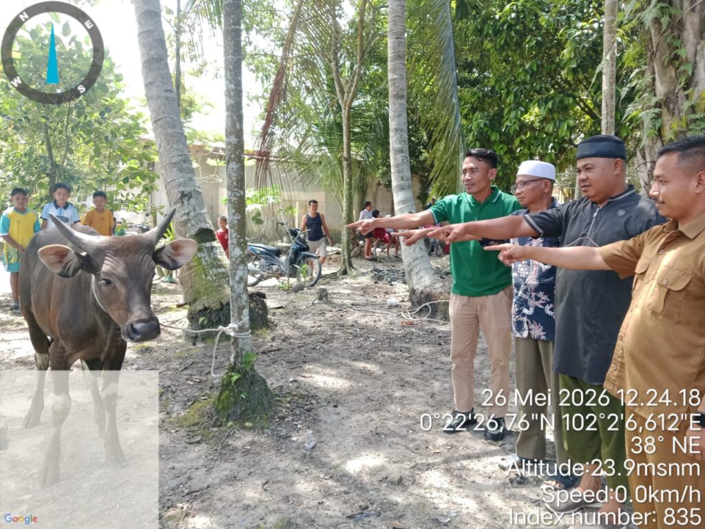 Idul Adha 1447 H: PT Arara Abadi Salurkan 58 Ekor Hewan Qurban untuk Warga Riau