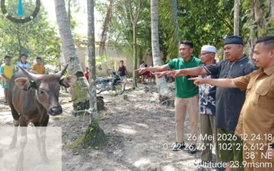 Idul Adha 1447 H: PT Arara Abadi Salurkan 58 Ekor Hewan Qurban untuk Warga Riau